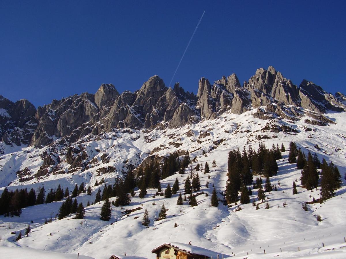 Appartementhaus Hochkoenig 1- Birgkar Mühlbach am Hochkönig 외부 사진